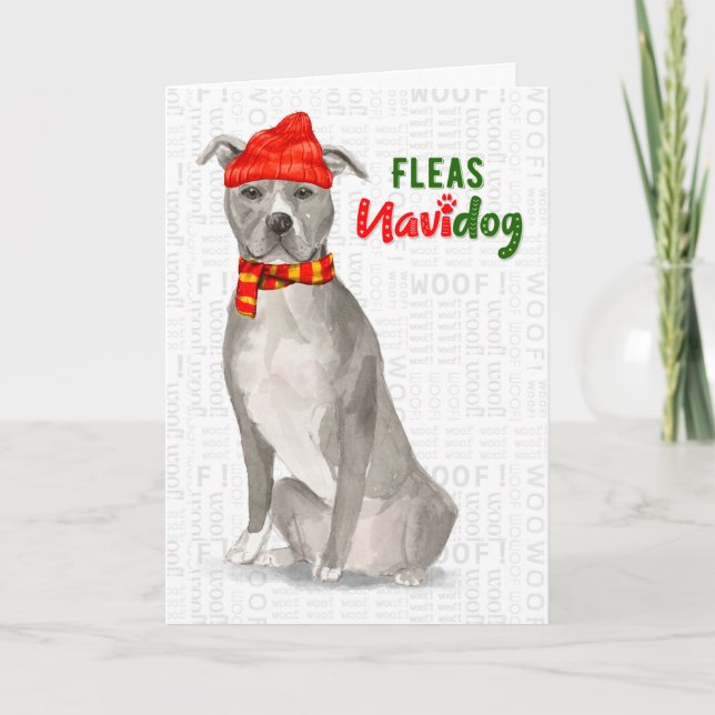 Tarjeta Festiva Gris American Staffordshire Pitbull Dog Funny (Anverso)