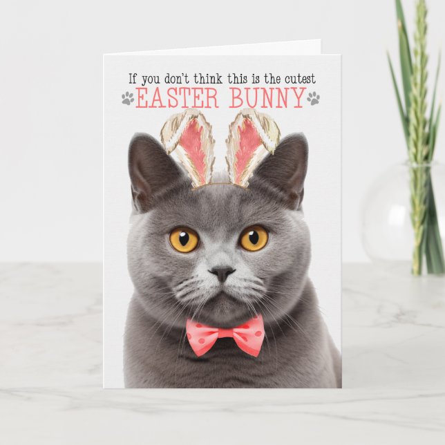 Tarjeta Festiva Gris British Shorthair Cat Bundy espera la Pascua (Anverso)