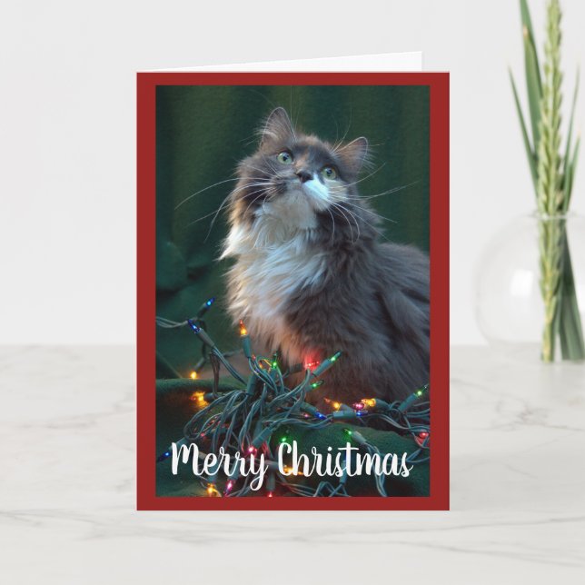 Tarjeta Festiva Gris Fluffy Cat y luces Navidades (Anverso)