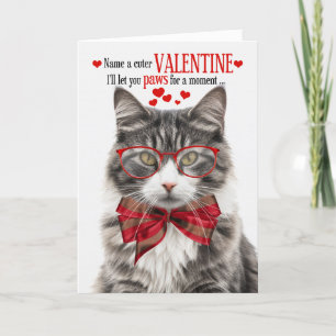 Tarjeta Festiva Gris longhair Tabby Cat Valentine Humor felino