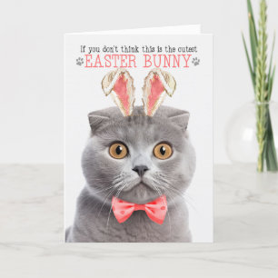 Tarjeta Festiva Gris Scottish Fold Cutest Easter Bunny Kitty Punts