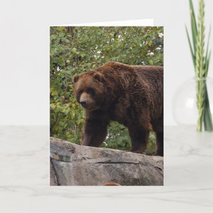 Tarjeta Festiva grizzly-bear-013