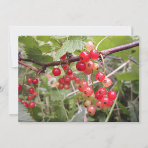 Tarjeta Festiva Grosella roja