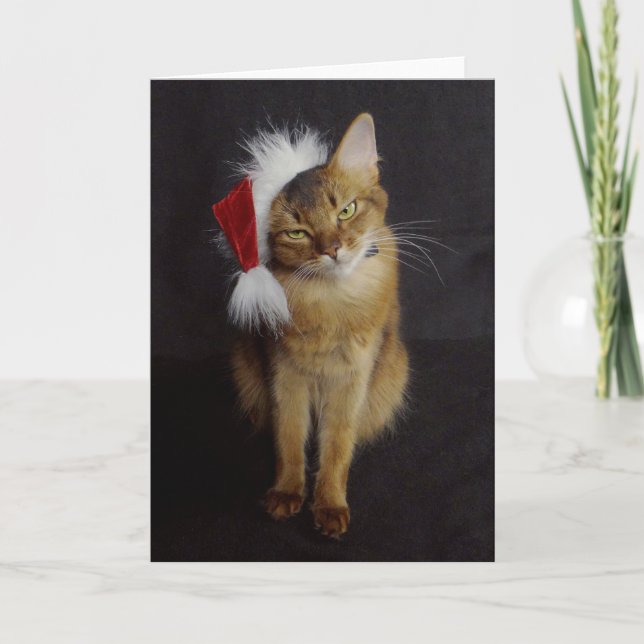 Tarjeta Festiva Grouchy gato somalí en Navidades de Santa Hat (Anverso)
