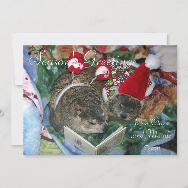 Tarjeta Festiva Groundhogs Clara y saludo del día de fiesta de (Anverso)