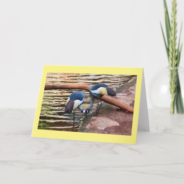 Tarjeta Festiva Grúas coronadas de gris (Anverso)