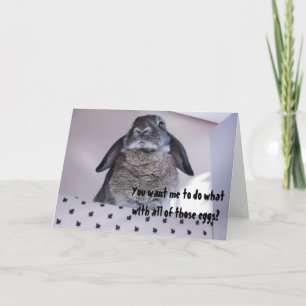 Tarjeta Festiva Grumpy Angry Easter Bunny Funny Humor Card