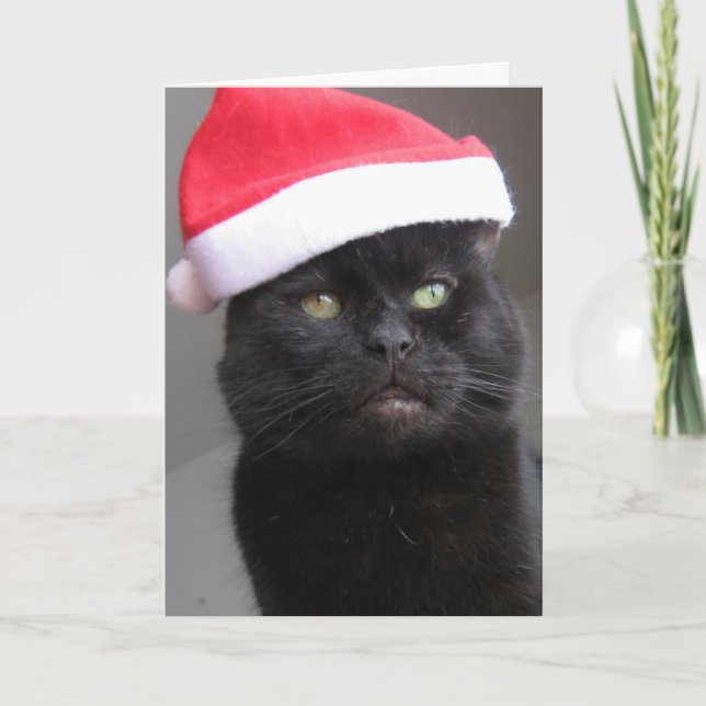 Tarjeta Festiva Grumpy Santa Cat (Anverso)