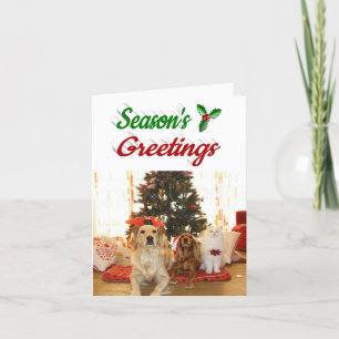 Tarjeta Festiva Guión de fotos de los Navidades de Seasons Greetin