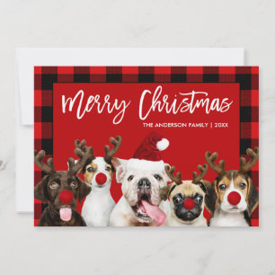 Tarjeta Festiva Guión de pincel moras perros navideños rojos