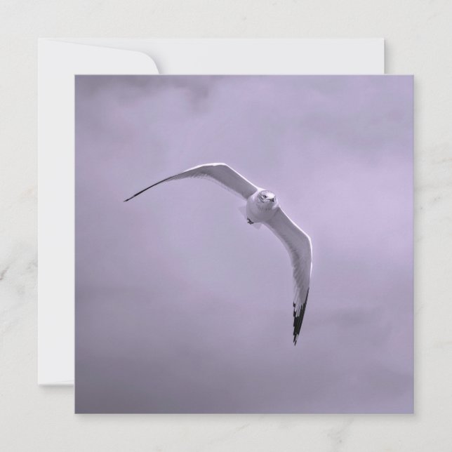 Tarjeta Festiva Gull in flight black and white (Anverso)