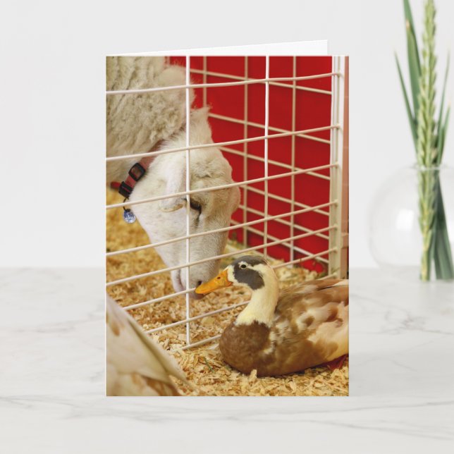 Tarjeta Festiva Hacemos un par extraño... (Anverso)