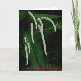 Tarjeta Festiva Hacer merry