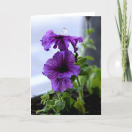 Tarjeta Festiva Hada de sombra de lavanda