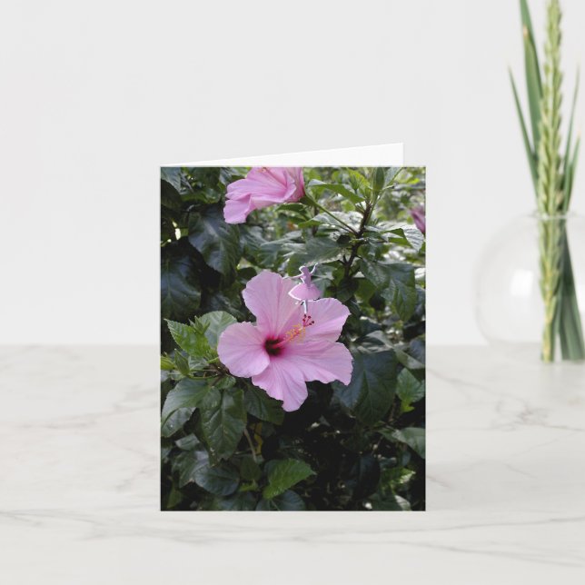 Tarjeta Festiva Hada rosa hibiscus Shadow (Anverso)