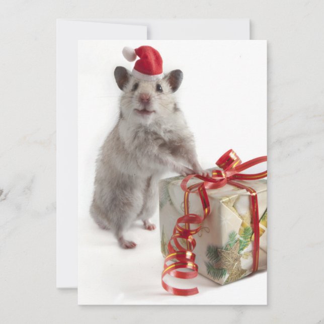 Tarjeta Festiva Hámster de Papá Noel con el regalo (Anverso)