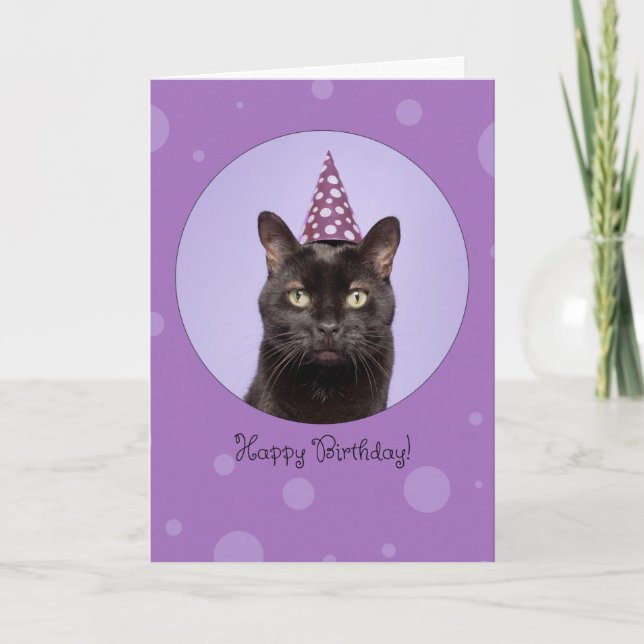 Tarjeta Festiva Happy Birthday For Anyone Funny Cat in Party Hat (Anverso)