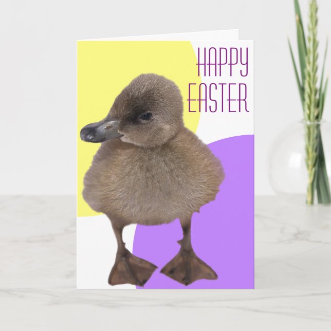 Tarjeta Festiva Happy Easter Adorable Gray Duckling Photography (Anverso)
