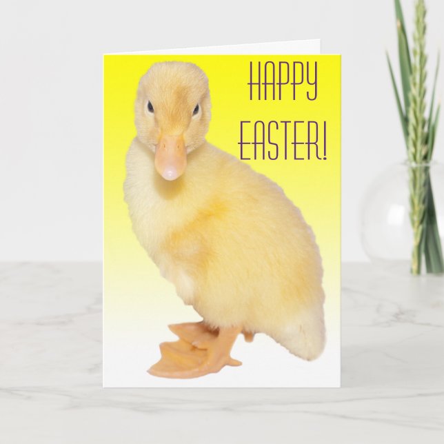 Tarjeta Festiva Happy Easter Adorable Yellow Duckling Photography (Anverso)