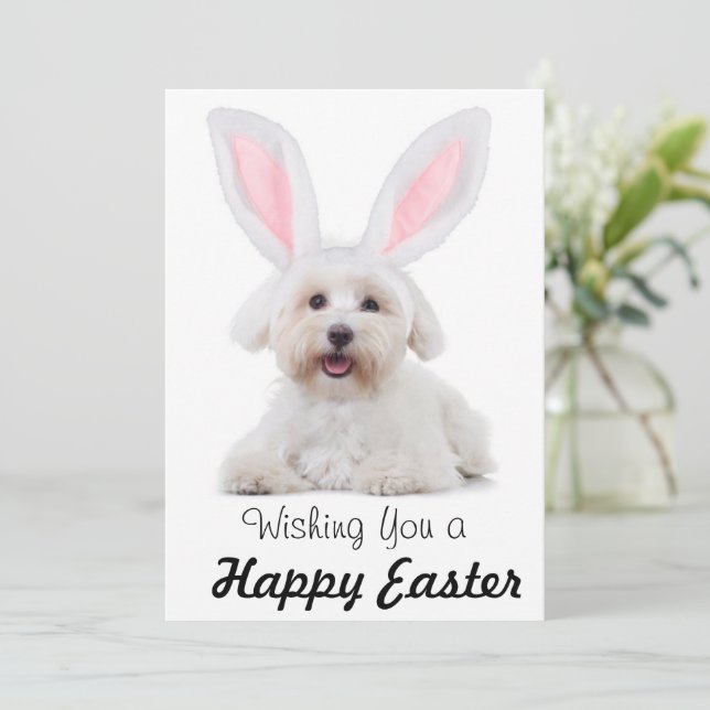 Tarjeta Festiva Happy Easter Anyone Dog Bunny Flat Holiday Card (Anverso de pie)