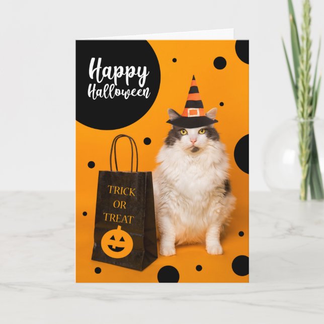 Tarjeta Festiva Happy Halloween For Anyone Cute Cat in Witch Hat  (Anverso)