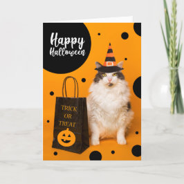 Tarjeta Festiva Happy Halloween For Anyone Cute Cat in Witch Hat 