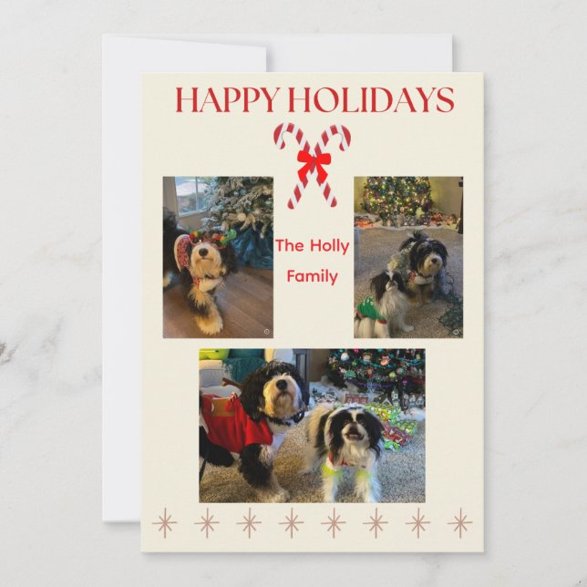 Tarjeta Festiva Happy Holidays Candy Cane and Twinkle Card (Anverso)