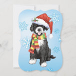 Tarjeta Festiva Happy Howlidays PWD<br><div class="desc">Celebra la temporada navideña con un adorable cachorro portugués de Perro de Agua usando un sombrero de Santa y una bufanda en medio de copos de nieve con las palabras,  ¡Feliz Amanecer en la espalda! Ideal para familias y amigos amantes de las personas con movilidad reducida.</div>