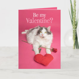 Tarjeta Festiva Happy Valentines Day  Cute Cat With Heart