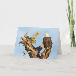 Tarjeta Festiva Harriet y la paloma