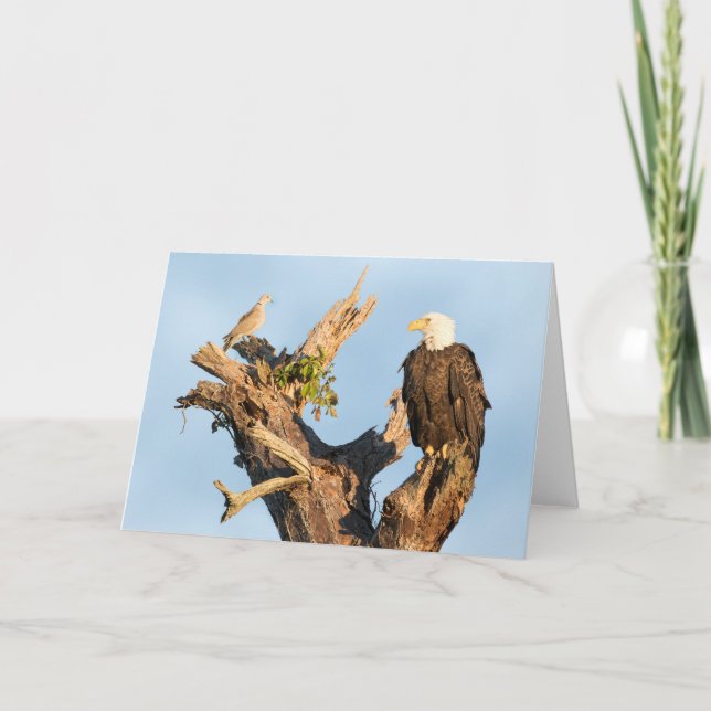 Tarjeta Festiva Harriet y la paloma (Anverso)