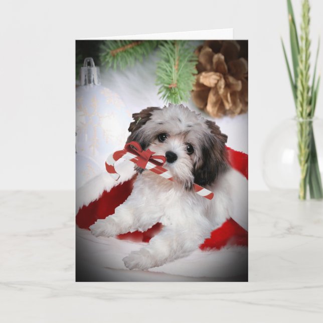 Tarjeta Festiva Havanese Christmas (Anverso)