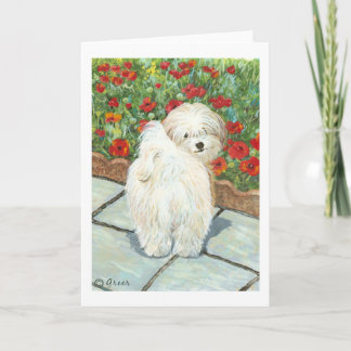 Tarjeta Festiva Havanese Dog and Poppies Art Print Cards