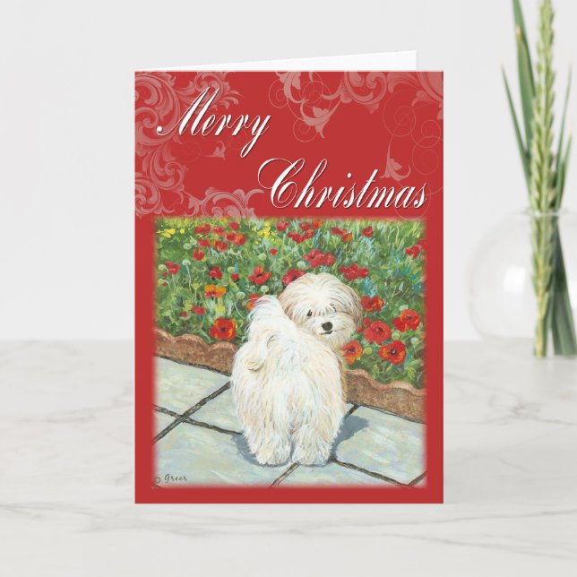 Tarjeta Festiva Havanese Poppy Christmas Gifts and Cards (Anverso)