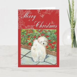 Tarjeta Festiva Havanese Poppy Christmas Gifts and Cards