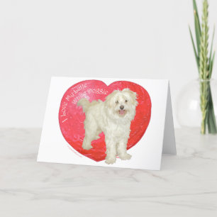 Tarjeta Festiva Havanese / Westie Mezcla Día de San Valentín
