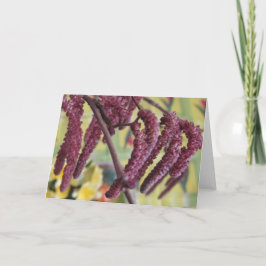 Tarjeta Festiva Hazelnut púrpura en primavera