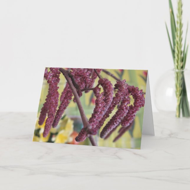 Tarjeta Festiva Hazelnut púrpura en primavera (Anverso)