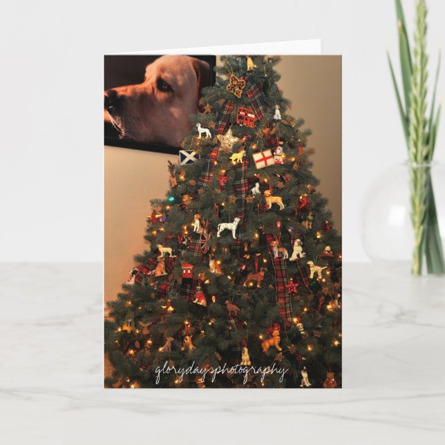 Tarjeta Festiva HCD_2846, glorydaysphotografía (Anverso)