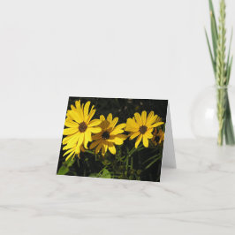Tarjeta Festiva Helianthus salicifolius (girasol de hojas silvestr