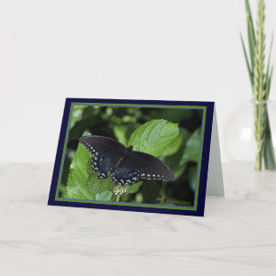 Tarjeta Festiva Hembra Swallowtail-Negra del tigre del este