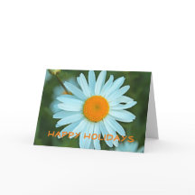 Hermosa flor de margarita blanca felices fiestas