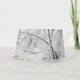 Tarjeta Festiva Hermosa manteca de madera blanca de nieve de los a