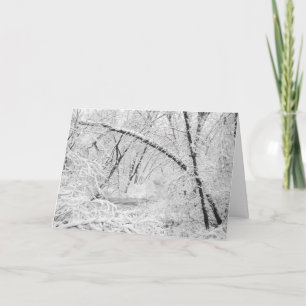 Tarjeta Festiva Hermosa manteca de madera blanca de nieve de los a