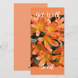 Tarjeta Festiva Hermosa Naranja Kaffir Lily Flowers