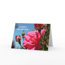 Hermosas flores rosadas felices fiestas