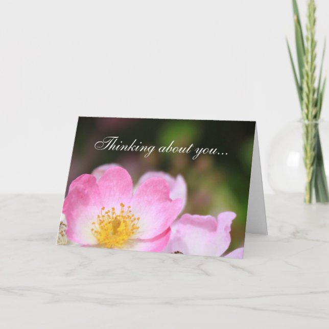 Tarjeta Festiva hermosas flores rosas rosadas silvestres pensando  (Anverso)