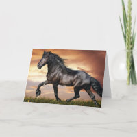 Hermoso caballo negro