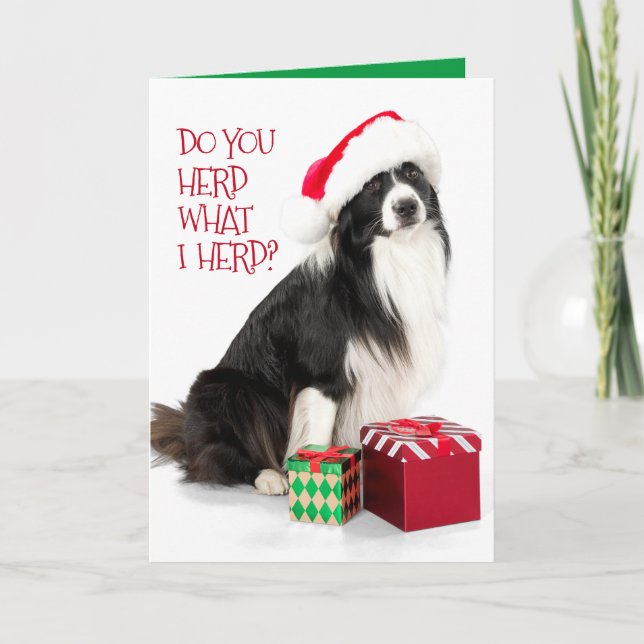 Tarjeta Festiva Hermoso Collie Fronterizo y regalos para Navidades (Anverso)