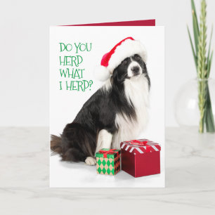 Tarjeta Festiva Hermoso Collie Fronterizo y regalos para Navidades